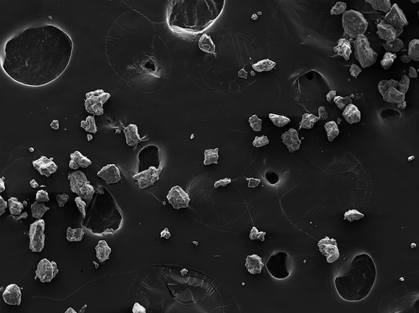 Anya Gallaccio, Where is Where it's at