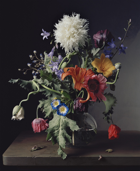 Sharon Core, 1665, 2011