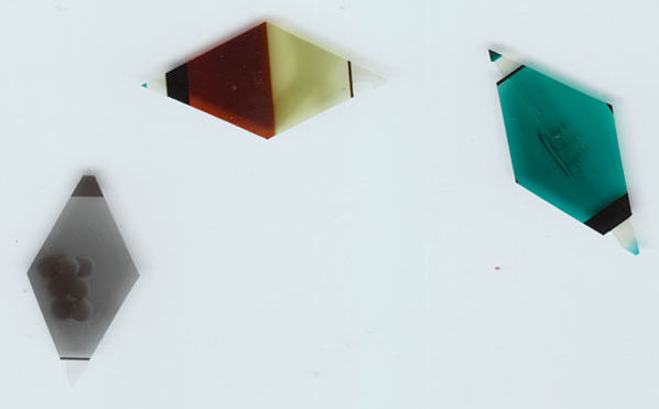 Lucy Skaer, Harlequin Is As Harlequin Does