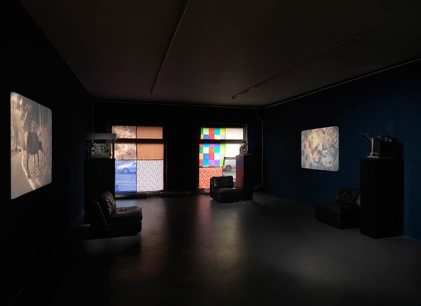 AMY GRANAT, COWFINGERS AND MOSQUITOPIE, 2012, exhibition view