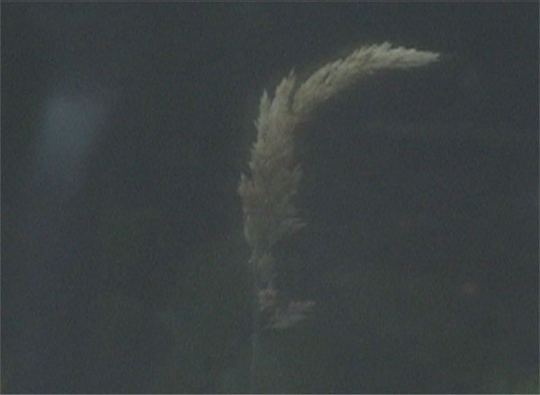 Seamus Harahan, Torch (Extended), 2013