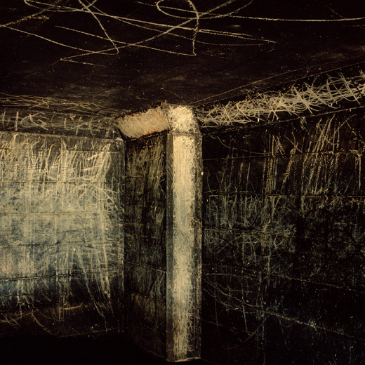 Anthony Hernandez, Forever 36, 2007-2012 