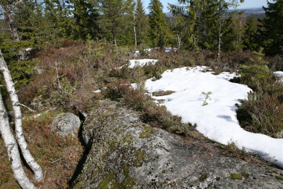 Lara Almarcegui, Mineral Rights, Tveitvangen iron deposit, Norway, 2015