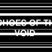 Call for Contributions - Echoes of the Void