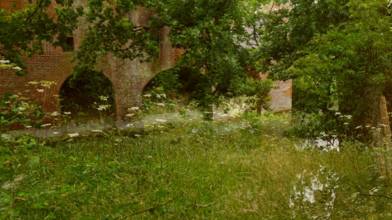 Monocular View by Kye Wilson 2015