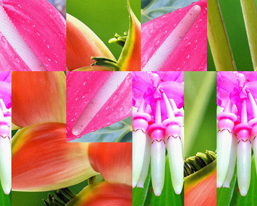 AUTOCENTER SUMMER ACADEMY - BERLIN