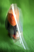 Forever (pelican, green)