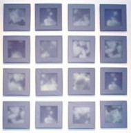 skies -2. wood, photo