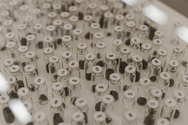 Image: Bank Sabadell Foundation Award 2015 Gallery Alain Gutharc with solo show artist  Estefania Penafiel Loaiza