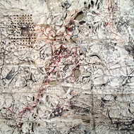 Shadowing Nature �Ula Einstein