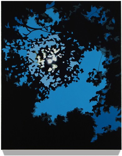 Night Sky<br/>2014, oil on linen<br/>30" x 24" <br/>