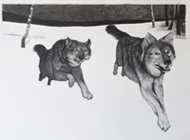 Wolves Running, pencil, 30x40, 2009