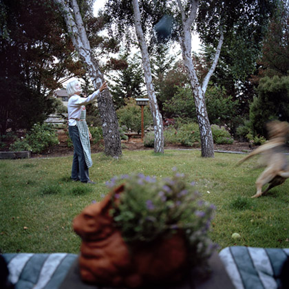 Los Osos In The Air, archival inkjet, 2010