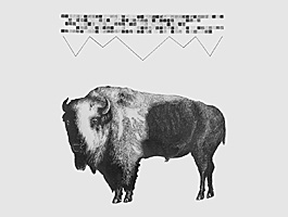 Buffalo Under Stars, graphite on paper, 32 x 40