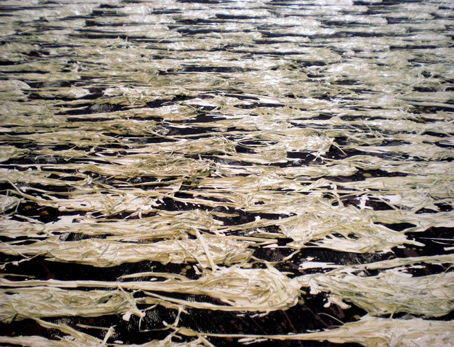 Christiaan Tonnis / Frost (after Thomas Bernhard / Dispersion und Heu auf Leinwand / 2009<br/>