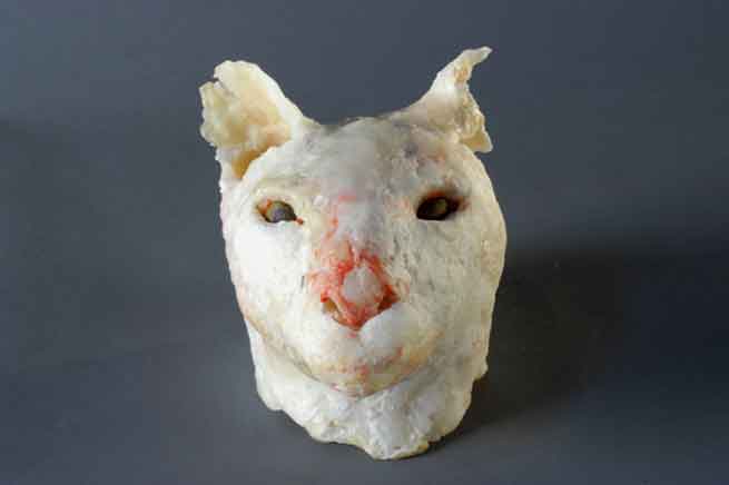 Cat With Raw Nose  2007  beeswax sculpture