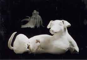 Dog with no Legs  1997  bisque-fired porcelain 