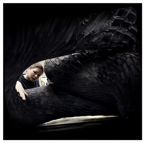 Corvid, 2011<br/>Crow feathers and mixed media<br/>122 x 331 x 149 cm<br/>