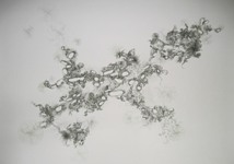 Piscean Nostomania (Roil 4)