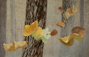 valley of (re)vision, mm/panel 14" x 20"