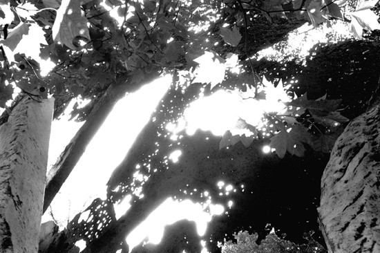 Fischaugenblick_01 N.T<br/>