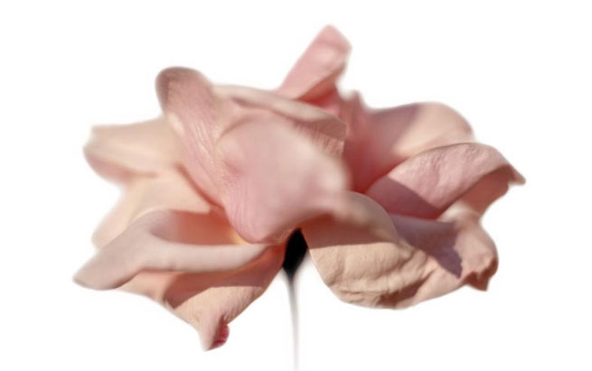 Vittorio Gui, o.T. (053)<br/>C-print / 2009 / 135 x 195 cm<br/>Image � Vittorio Gui, courtesy Galerie Voss, D�sseldorf <br/>