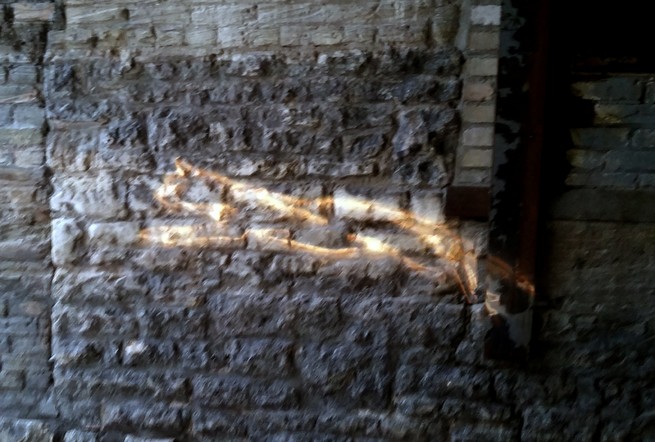 Cats In the Alley<br/>2014<br/>collaborator - Ken Gregory<br/>